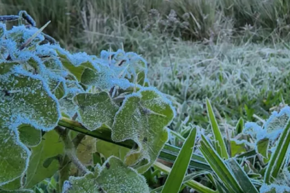Estado Registra Primeira Temperatura Negativa De 2022 E Geada 37303