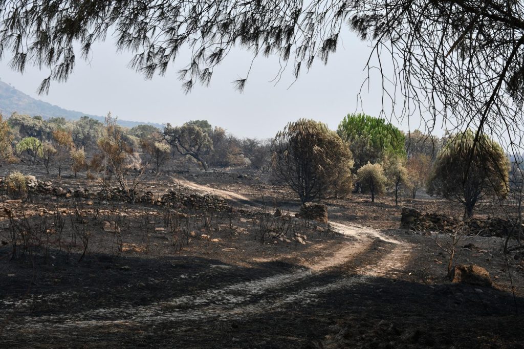 536282863 1140665441445848 3708145492715127692 n