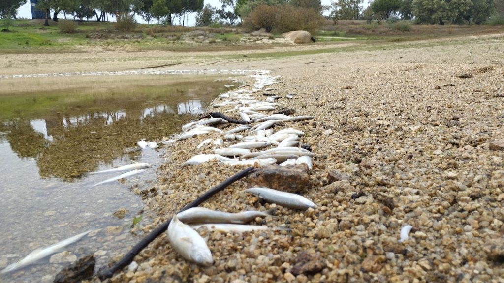 Dbed0aa4 10c1 4c2c a7ee 483dad037eaf