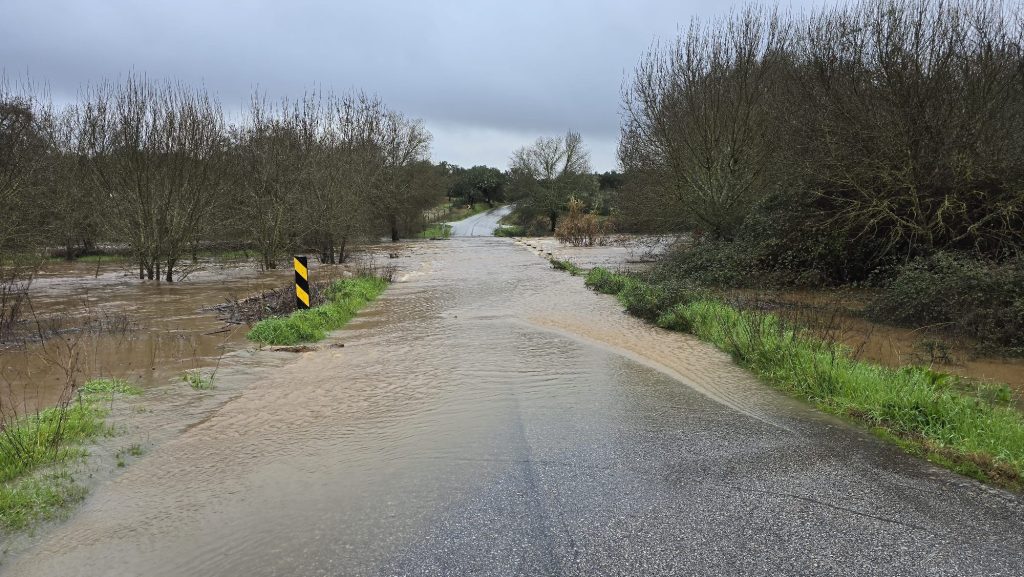 618760831 1363950685776532 2223307026585834113 n