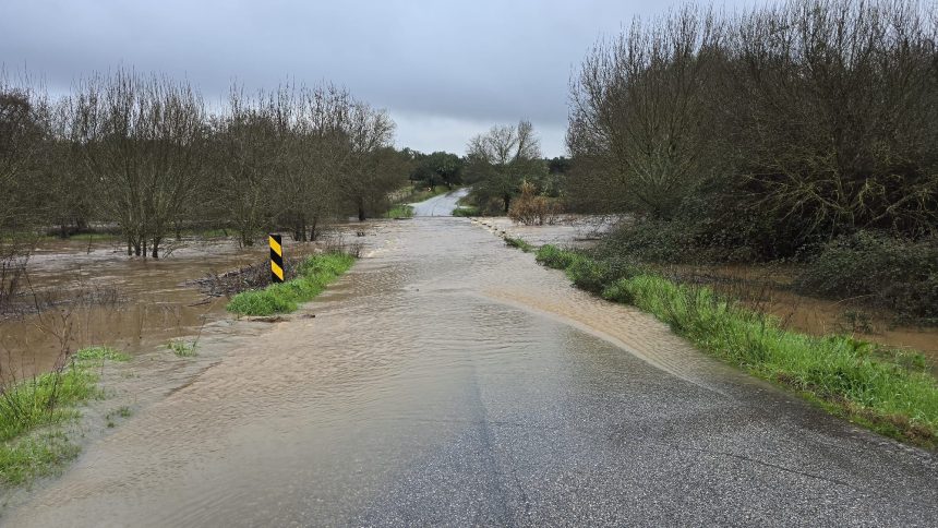 618760831 1363950685776532 2223307026585834113 n