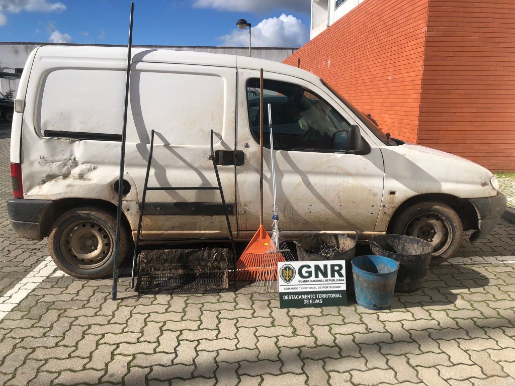 619690861 1220235600297739 297142267480867870 n (1)