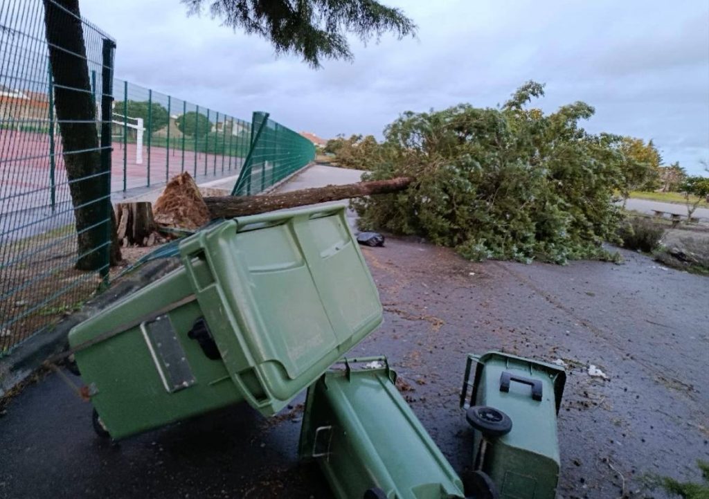 622362981 1845206596272566 5130620728064370424 n