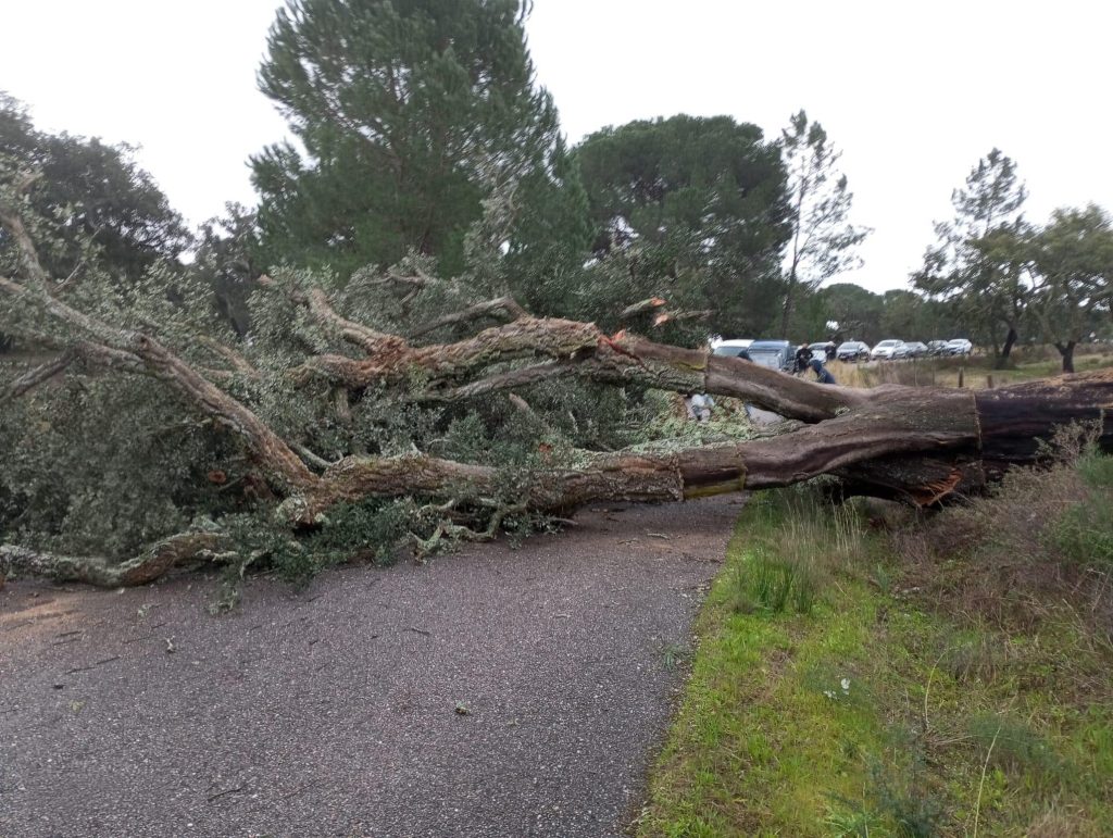 622681765 1364834625688138 1618989700542149138 n