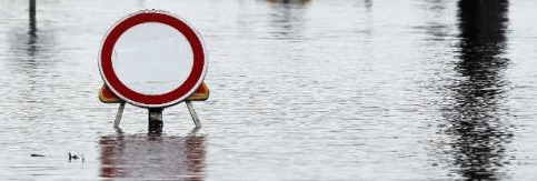 79708334 2703643623045791 5894321986414313472 n