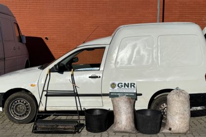 GNR Portalegre Apreensão (33)