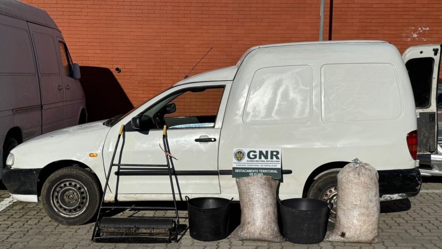 GNR Portalegre Apreensão (33)