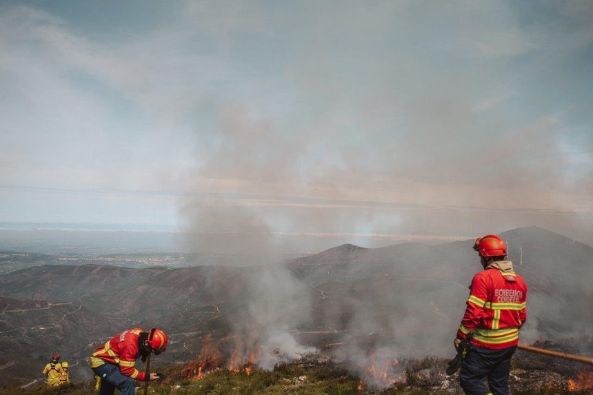 Incêndios agricultores